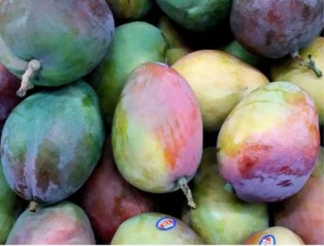 Fruits tropicaux